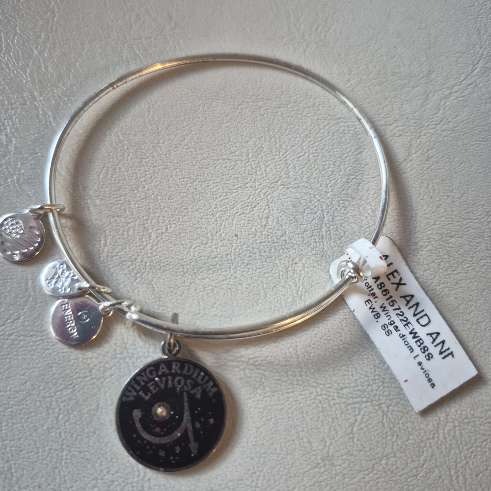 Alex and Ani Silver Bracelet with Charms